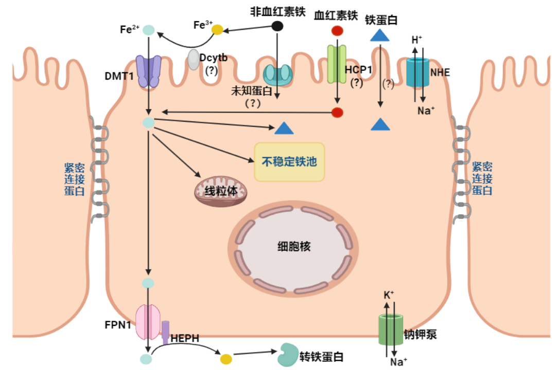 image.gif